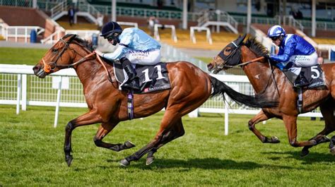 best horse racing tipsters|Todays Best Horse Racing Tips .